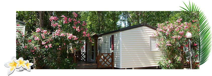 mobil-home