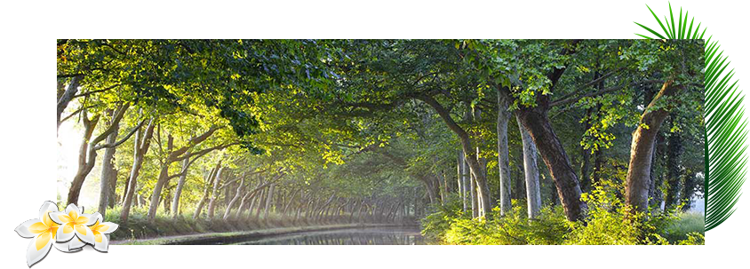 canal